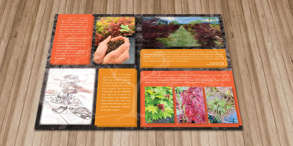 NovaPlants - Plaquettes 2
