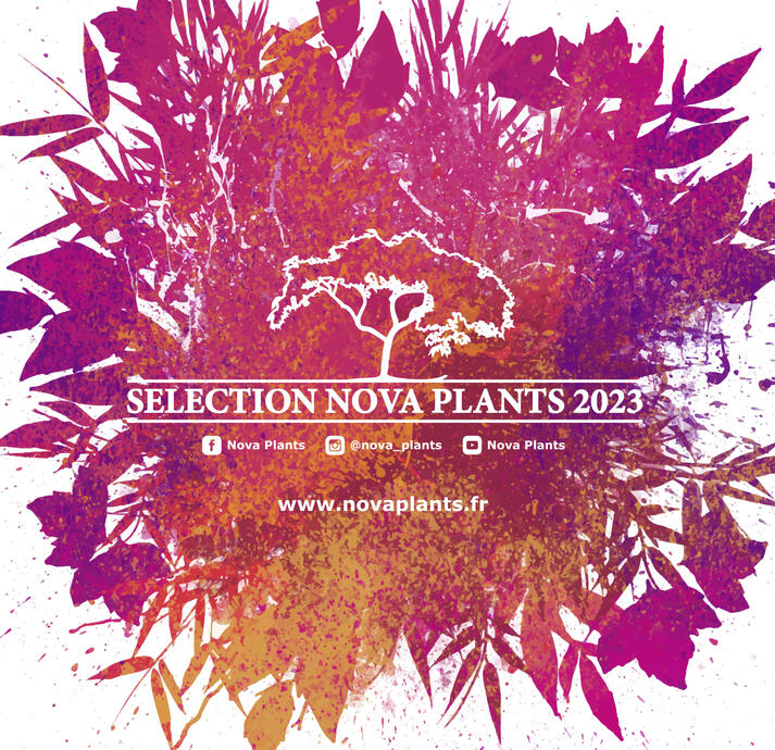 NovaPlants - Affiche 2023