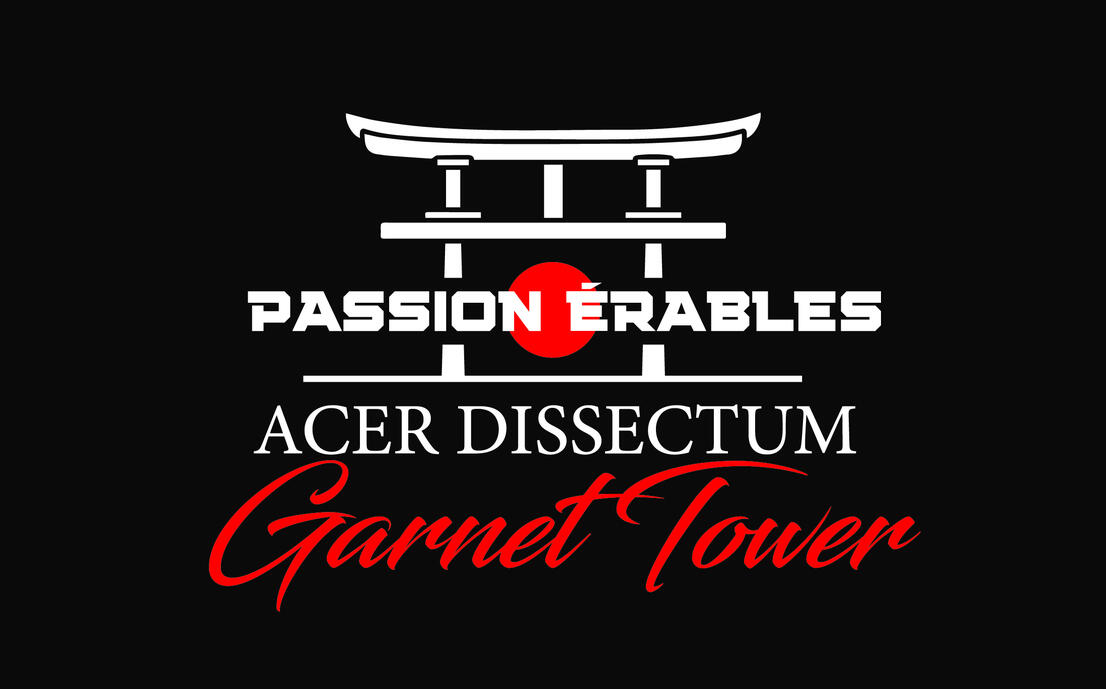 PassionErable - Ardoise